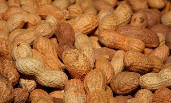 Arachis von Macht