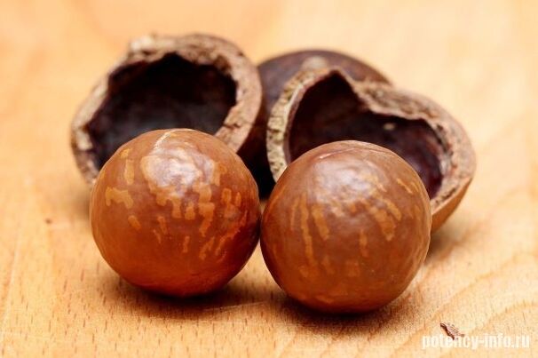 Macadamia durch Macht